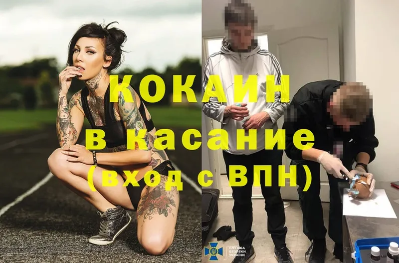 кракен зеркало  купить наркотики сайты  Алейск  Cocaine FishScale 